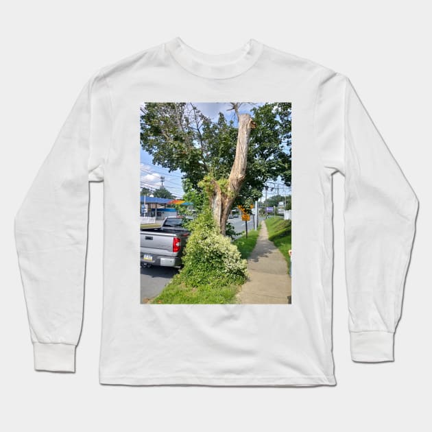 The tree in front of my house Long Sleeve T-Shirt by Popoffthepage